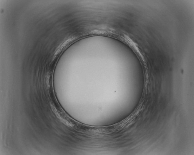 X0000087710106200705040926