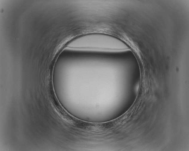 X0000087710107200705040926