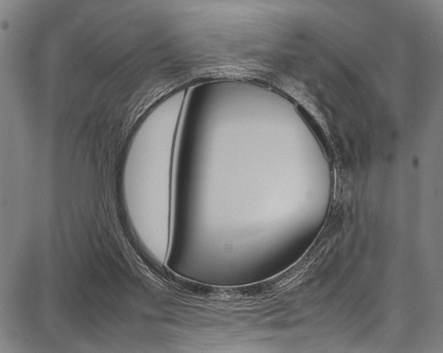 X0000087710109200705040926