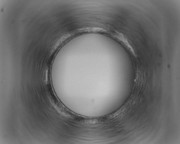 X0000087710110200705040926
