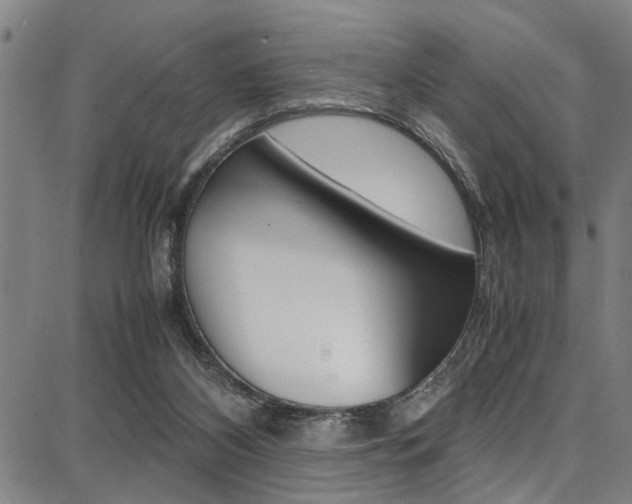 X0000087710116200705040926