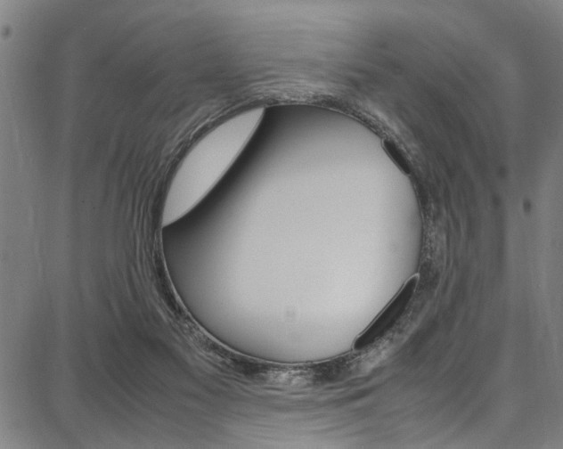 X0000087710117200705040926