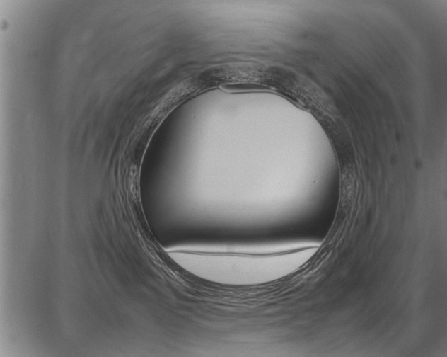 X0000087710141200705040926