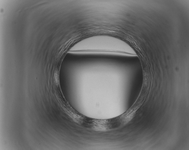 X0000087710143200705040925