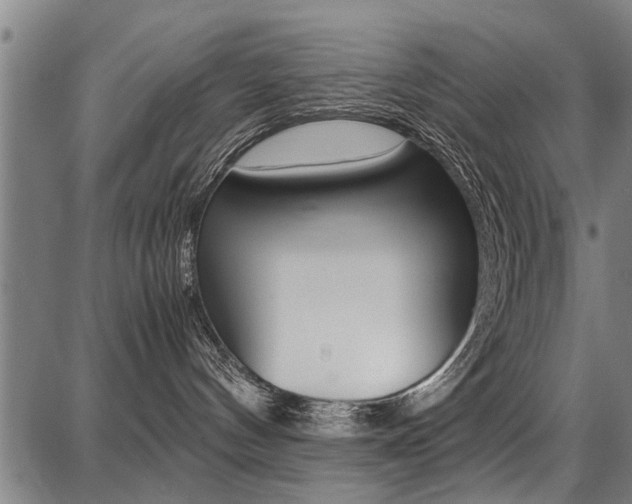 X0000087710144200705040925
