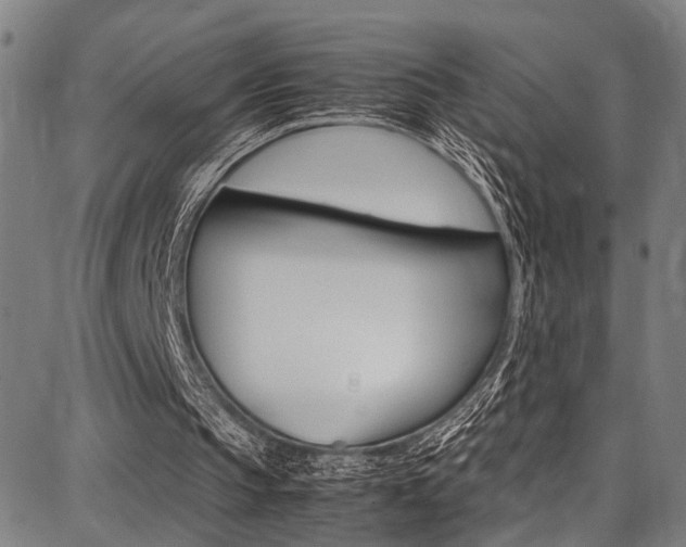 X0000087710145200705040925