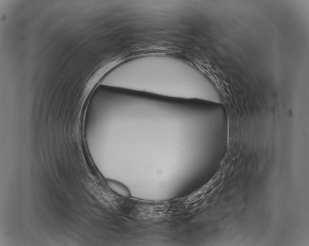 X0000087710147200705040925
