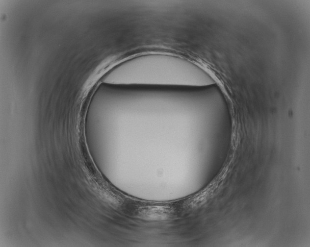 X0000087710151200705040925
