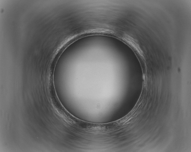 X0000087710156200705040925
