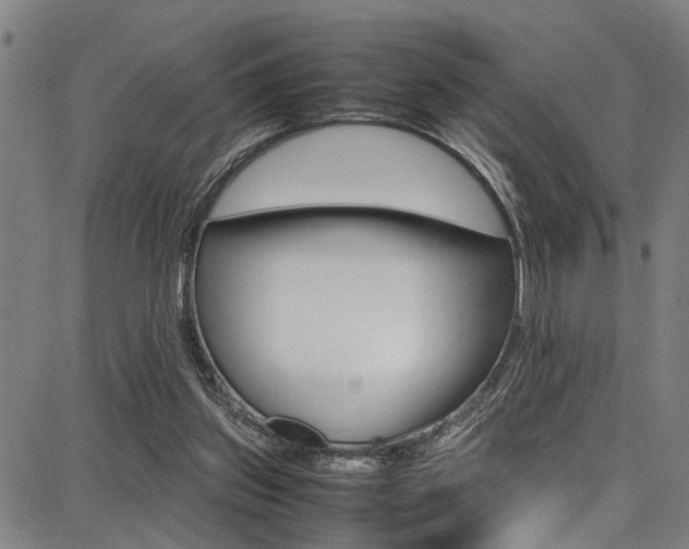 X0000087710157200705040925