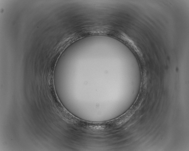X0000087710161200705040925