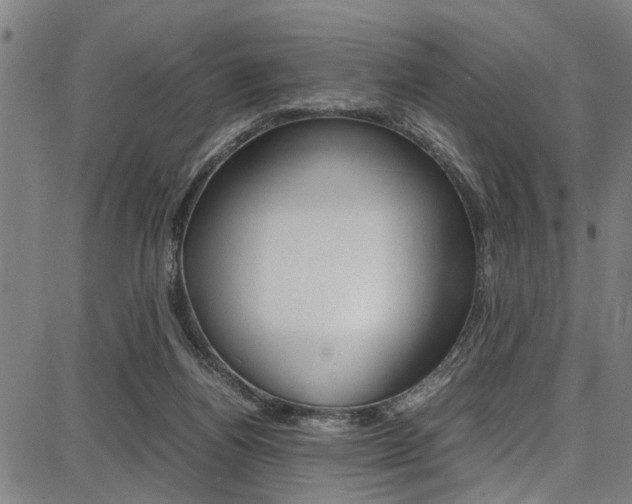X0000087710164200705040925