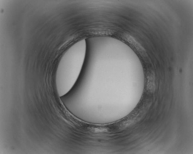 X0000087710165200705040925