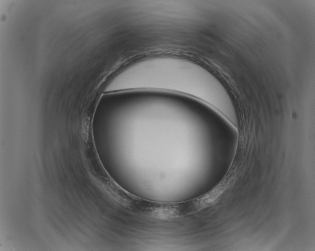 X0000087710168200705040925