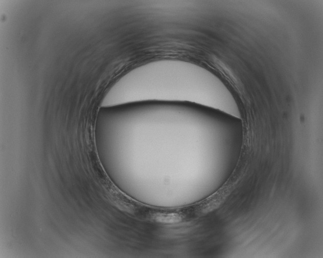 X0000087710169200705040925