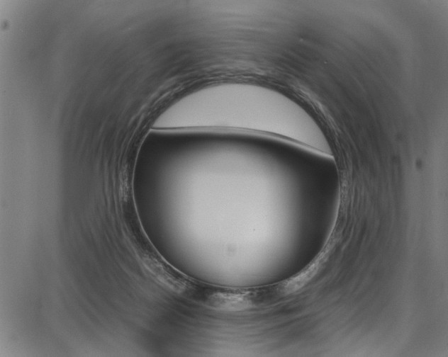 X0000087710170200705040925