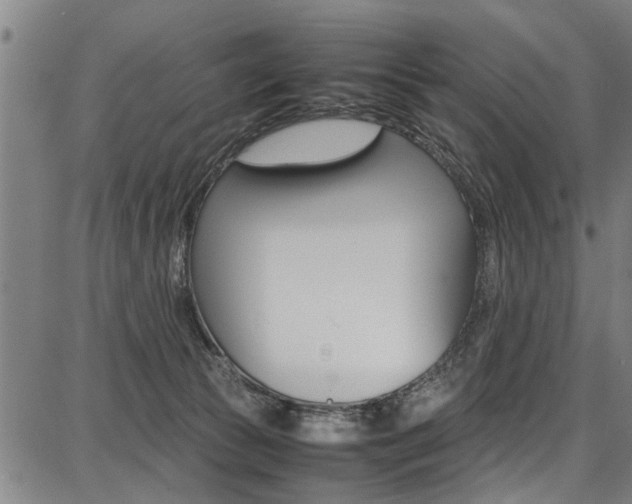 X0000087710177200705040925