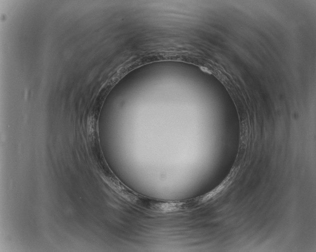 X0000087710184200705040925