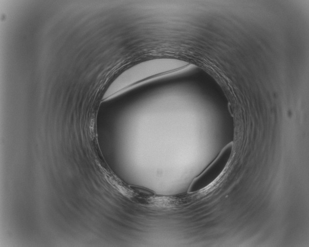 X0000087710192200705040925
