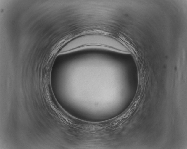 X0000087710193200705040925