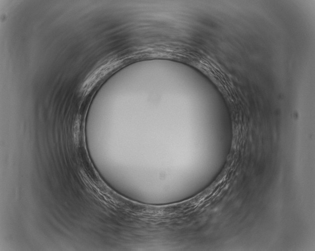 X0000087710194200705040925