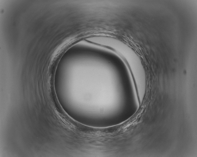 X0000087710197200705040925
