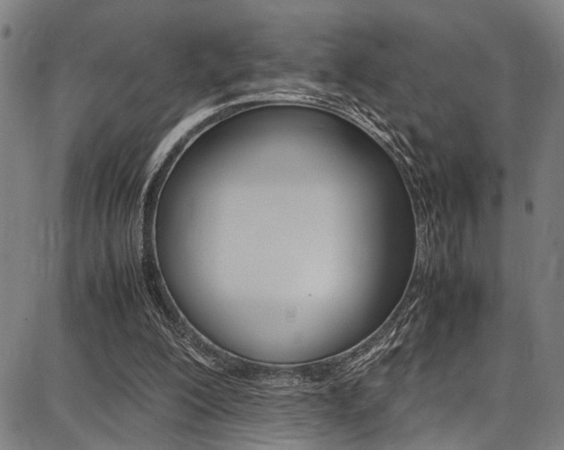 X0000087710200200705040925