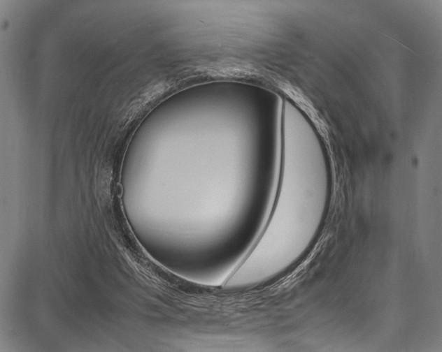 X0000087710201200705040925