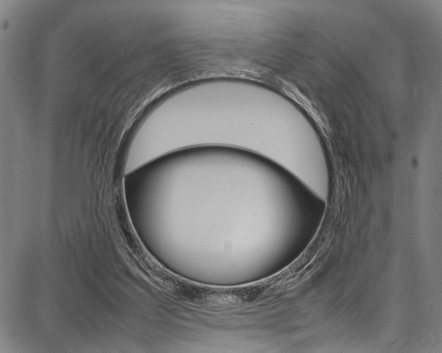 X0000087710203200705040925