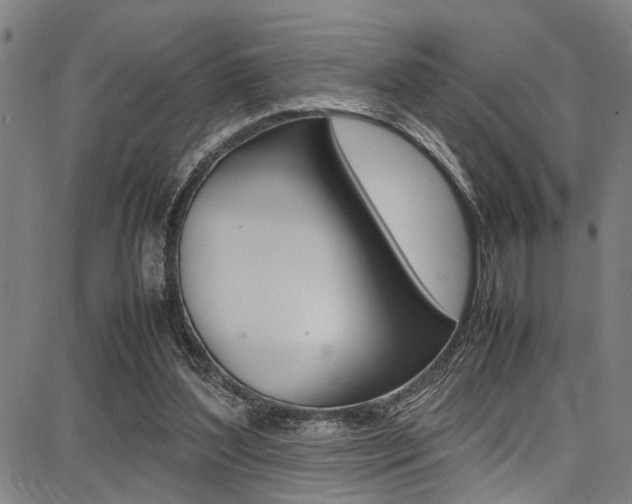 X0000087710204200705040924