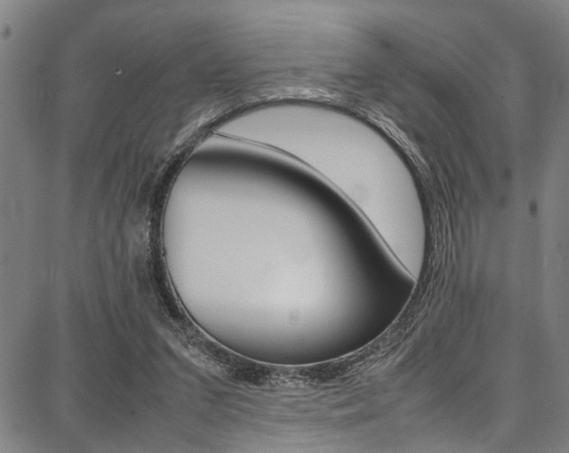 X0000087710207200705040924