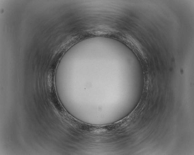X0000087710210200705040924