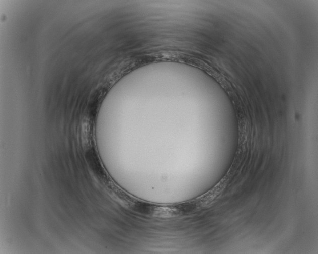 X0000087710222200705040924