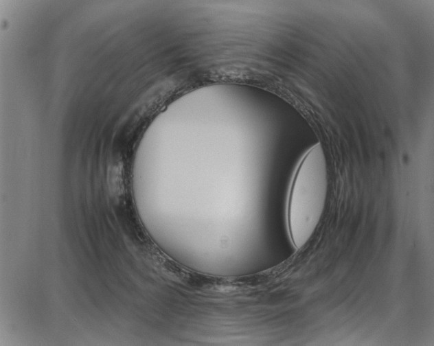 X0000087710224200705040924
