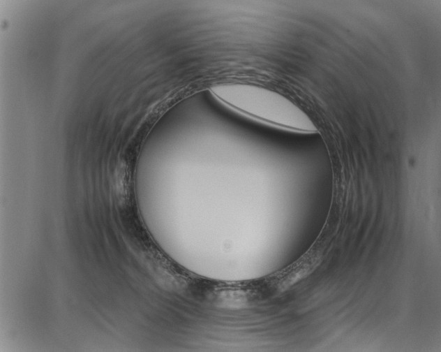 X0000087710228200705040924