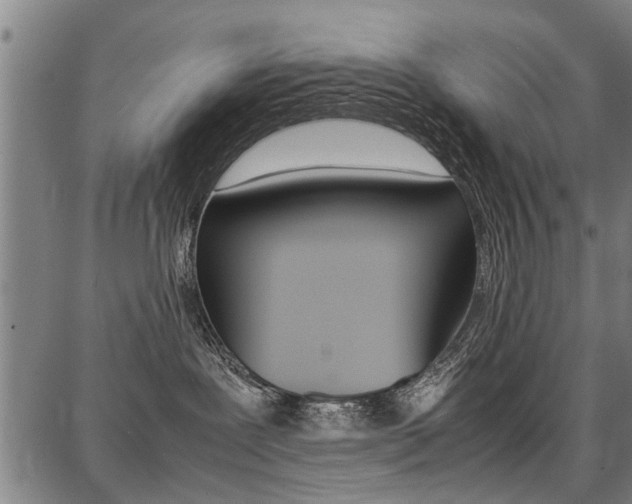X0000087710239200705040924