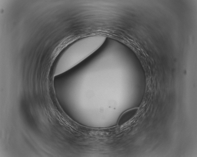 X0000087710242200705040923