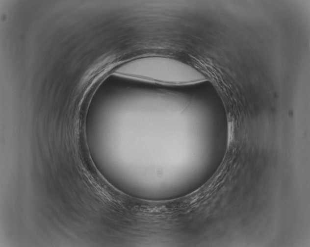 X0000087710243200705040923