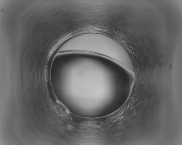 X0000087710244200705040923