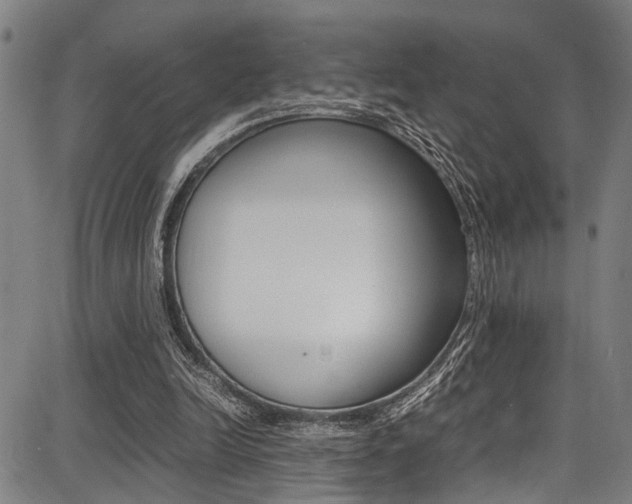 X0000087710246200705040923