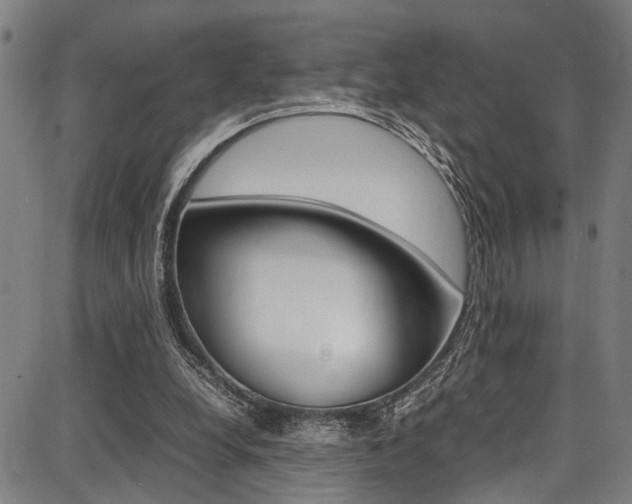 X0000087710248200705040923