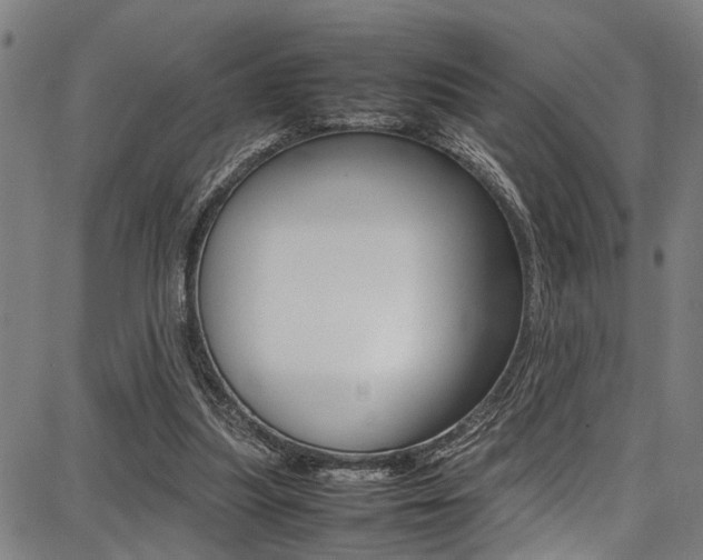 X0000087710251200705040923