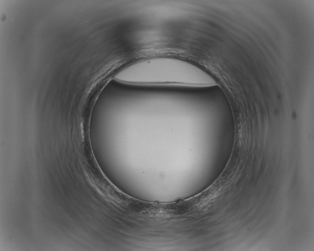 X0000087710254200705040923