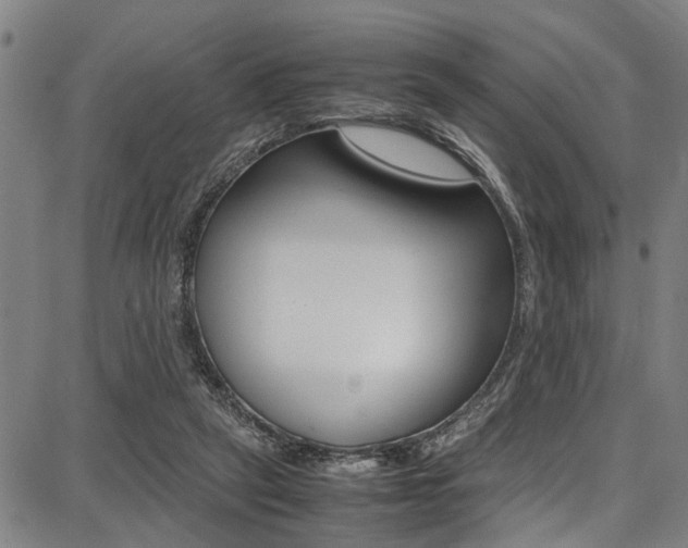 X0000087710257200705040923
