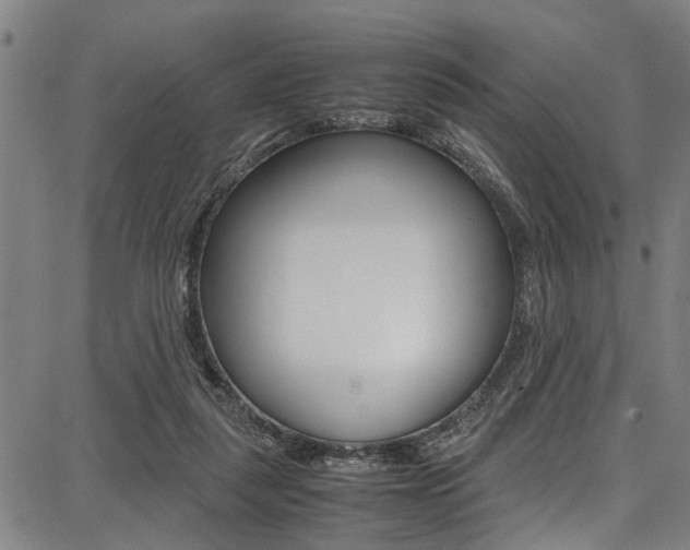 X0000087710259200705040923