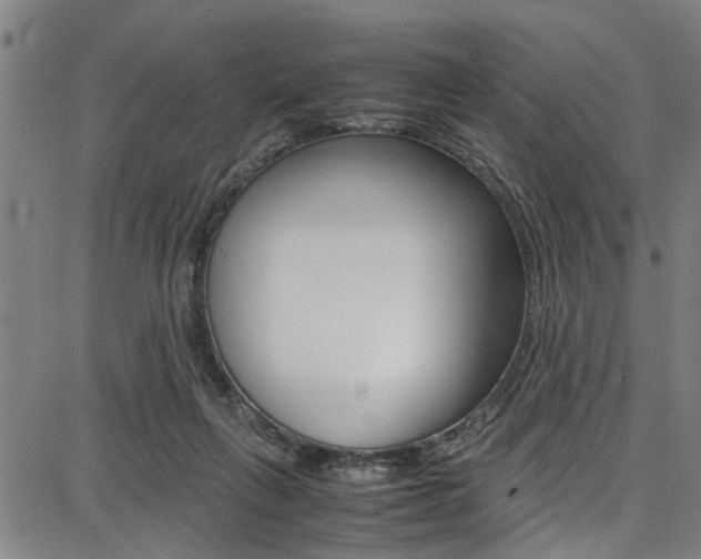 X0000087710263200705040923