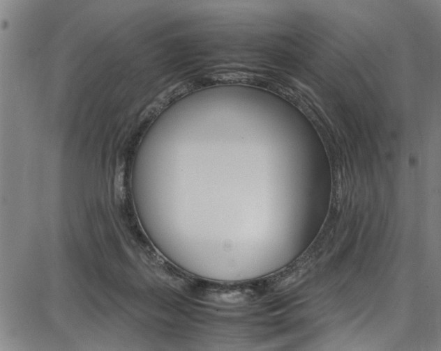 X0000087710267200705040924
