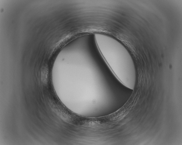 X0000087710304200705040923