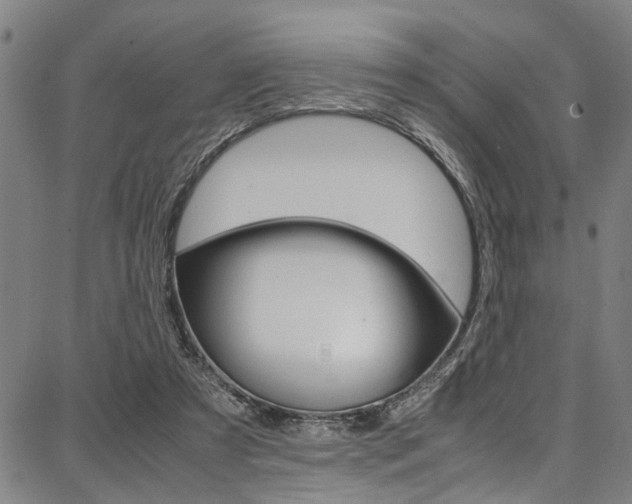 X0000087710305200705040923
