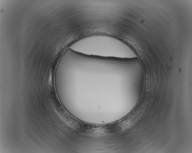X0000087710310200705040923